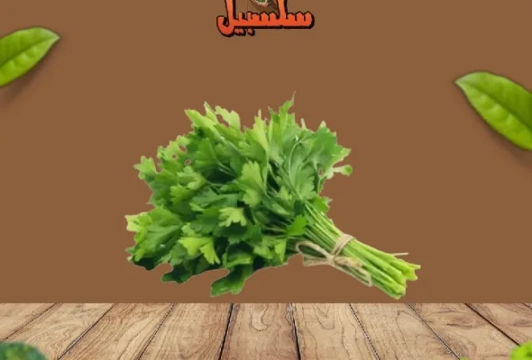 بقدونس