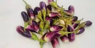 باذنجان مشبح