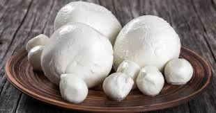 زبده جاموسي