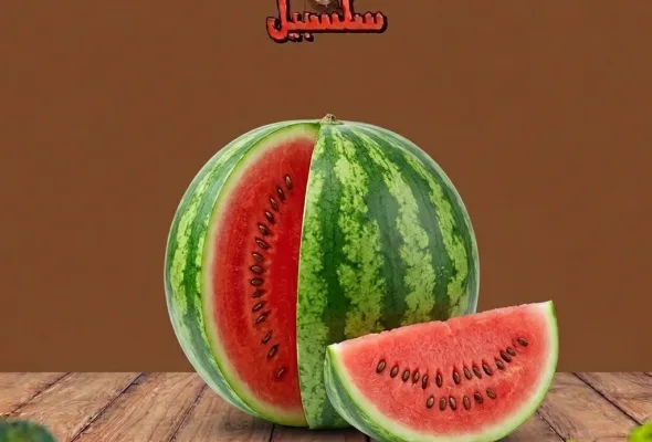 بطيخ كبير