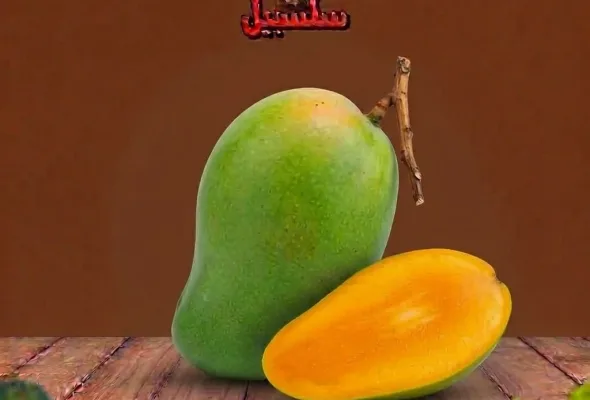 مانجا صديقه