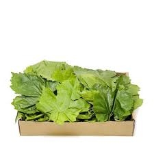 ورق-عنب-كيلو