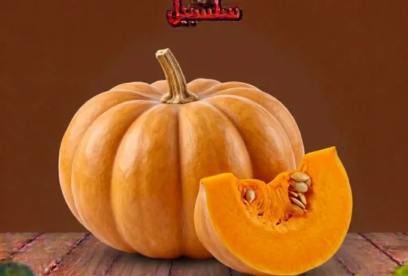 قرع عسل