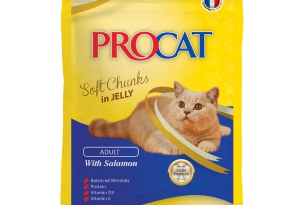 Procat Adult With Salmon In Jelly 100 g