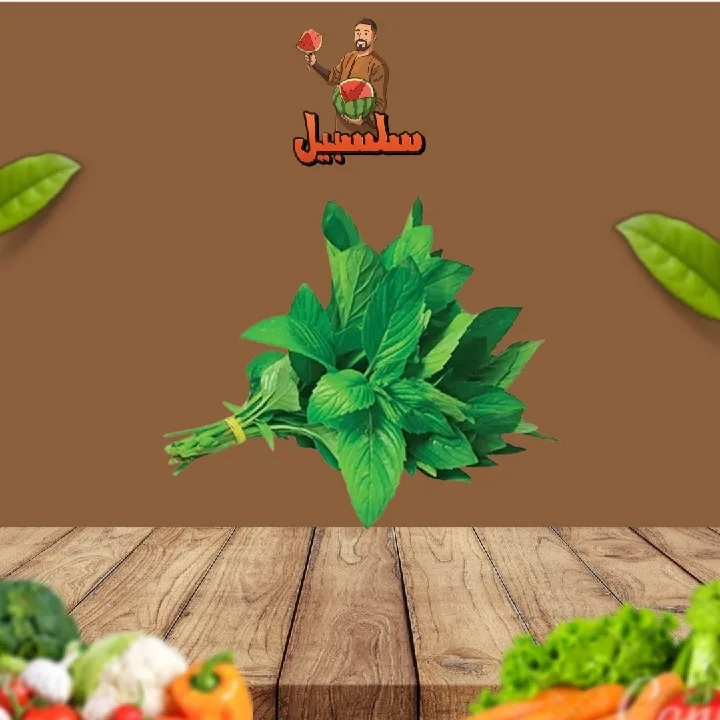 نعناع
