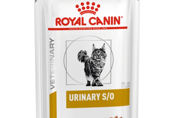 Royal Canin Feline Urinary S/O in Gravy (85 gm\Pouch) - Wet food for Lower Urinary tract disease – 12 pouches per box