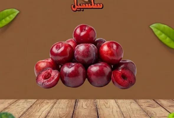 برقوق سنتروزه