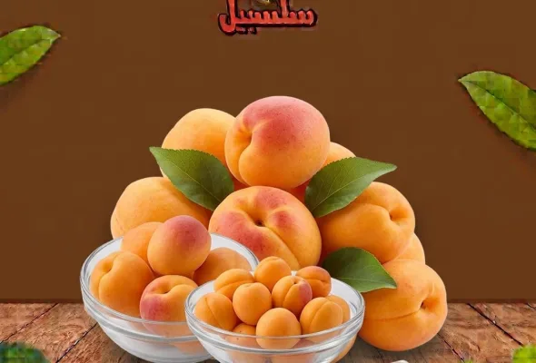 مشمش اردني
