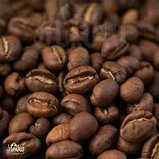 بن يمني فاتح سادة