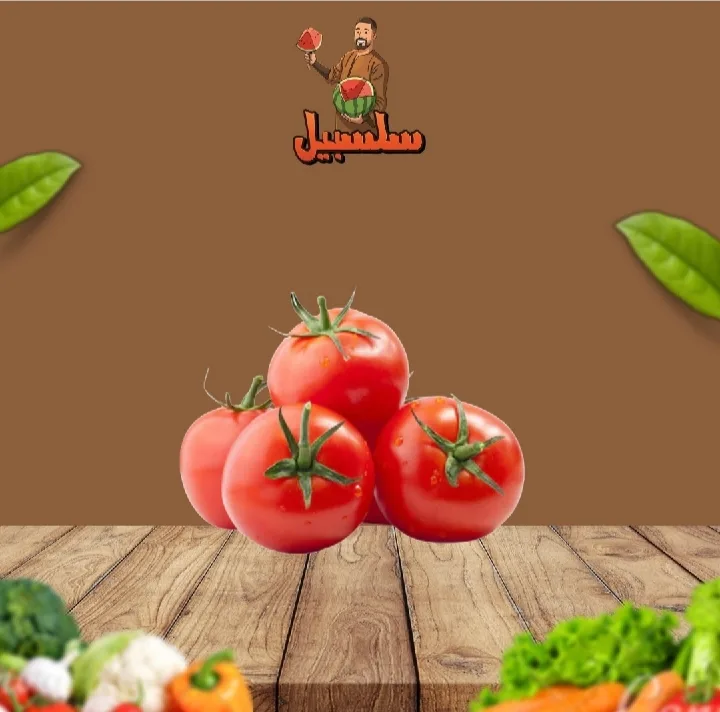 طماطم فرز اول
