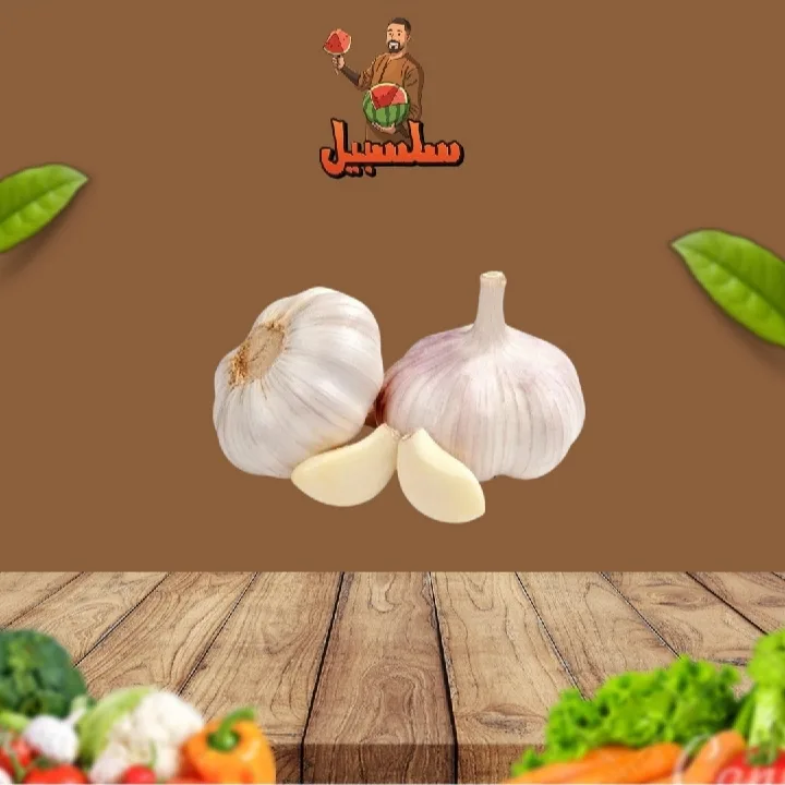 توم بلدي احمر بدون عرش