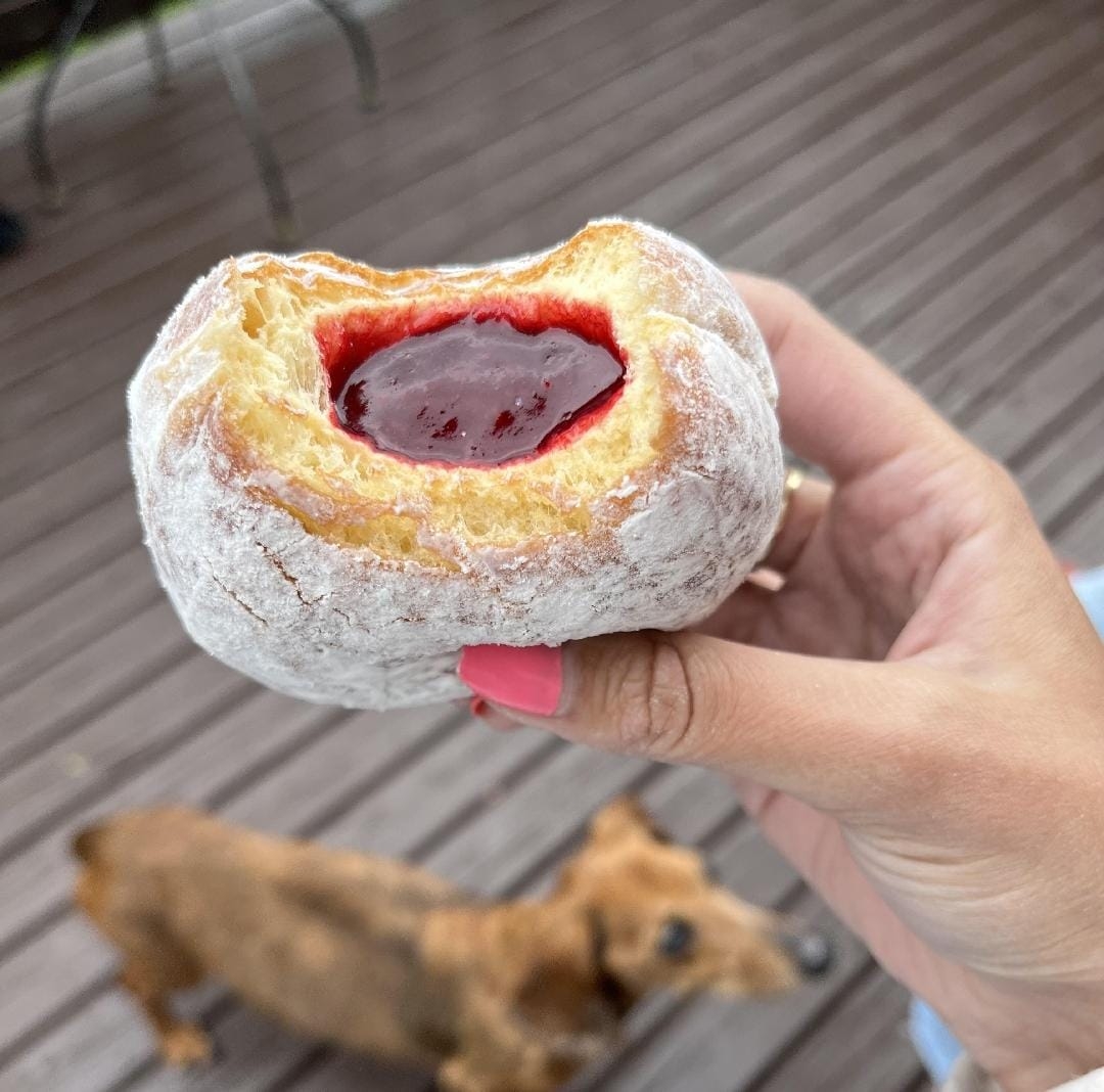 دونت سكر و مربى