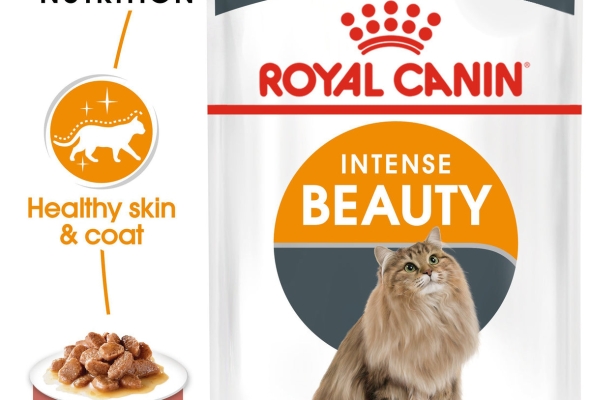 Royal Canin Intense Beauty in Gravy (85 gm\Pouch) - Wet food for adult cats - supports a healthy skin and shiny coat
