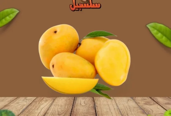 مانجا سكري فاخر
