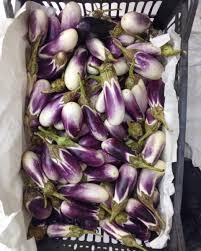 باذنجان أبيض