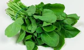 جرجير / نعناع