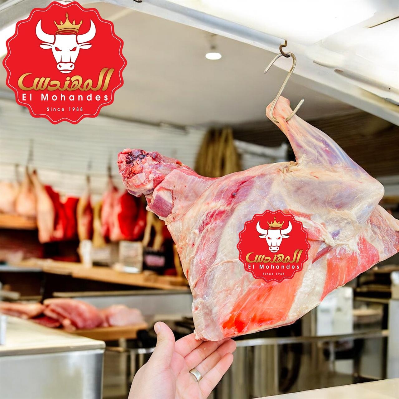 كتف ضاني كامل