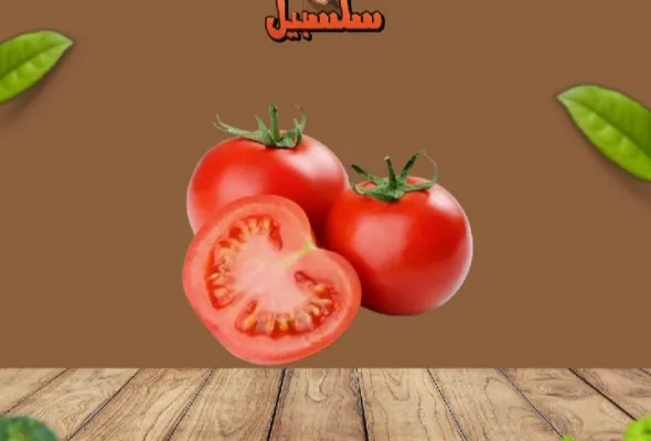 طماطم فرز تاني