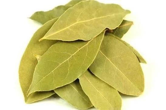 ورق الغار لورو