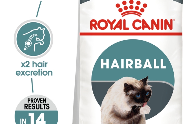 Royal Canin Hairball care (2 KG) - Dry food for adult cats - helps reduce hairball formation