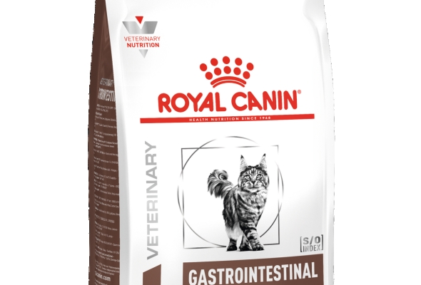 Royal Canin Gastrointestinal For Cat - feline(2 KG) - Dry