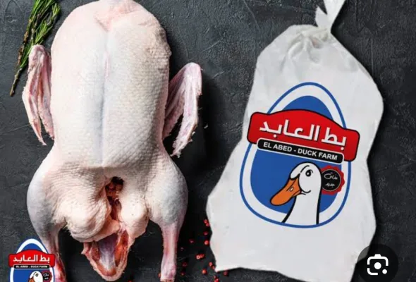 بط العابد