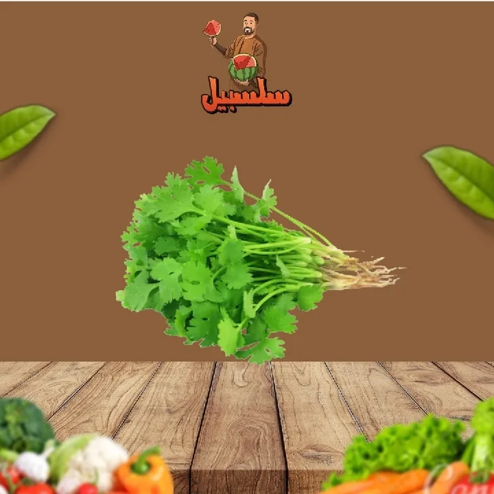 كزبرة